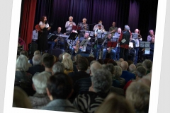 Bongos-Bigband-Konzert_20200301_DSC_2172.NEF_