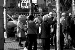 DSC_2976.NEF_2000