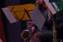 Bongos_Bigband_Konzert_170917_DG2_7181.NEF