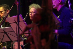 Bongos_Bigband_Konzert_170917_DG2_7315.NEF