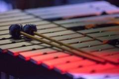 Bongos_Bigband_klausmaurer_20180318-1254-3