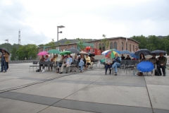 DSC_01202009-06-21