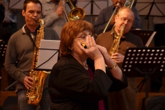 Bongos_Bigband_Konzert_2013_02_03_21