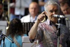 bongos_bigband_konzert_2013_06_30_111 bongos_bigband_konzert_2013_06_30_111