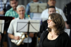 bongos_bigband_konzert_2013_06_30_5