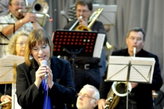 Bongos_Bigband_Konzert_2013_09_15__21