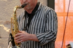 Bongos_Bigband_Konzert_2013_02_09__5
