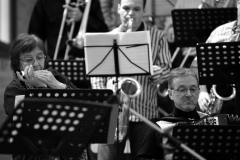 Bongos_Bigband_Konzert_2013_02_09__22
