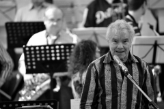 Bongos_Bigband_Konzert_2013_02_09__3