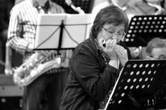 Bongos_Bigband_Konzert_2013_02_09__47