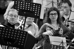 Bongos_Bigband_Konzert_2013_02_09__52