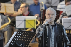 Bongos_Bigband_Konzert_2014_03_23__2