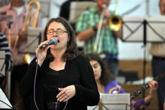 Bongos_Bigband_Konzert_2014_03_23__22