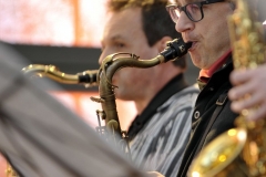 Bongos_Bigband_Konzert_2014_03_23__8