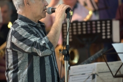 bongos_bigband_20140928_31 bongos_bigband_20140928_31