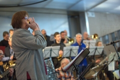 Bongos_Bigband_Konzert_2015_02_08_40