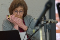 Bongos_Bigband_Konzert_2015_02_08_10