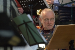 Bongos_Bigband_Konzert_2015_02_08_8