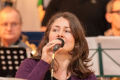 Bongos_Bigband_Konzert_2015_03_15_10