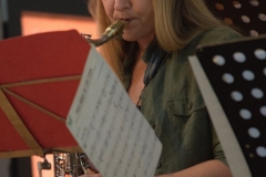 Konzert_Bongos_Bigband_20150820_10