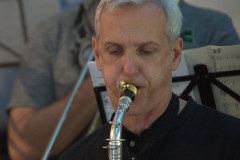 Konzert_Bongos_Bigband_20150820_17