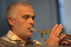 Konzert_Bongos_Bigband_20150820_54