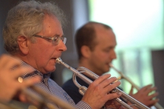Konzert_Bongos_Bigband_20150820_56