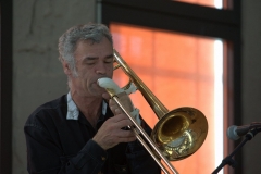 Konzert_Bongos_Bigband_20150820_8