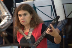 Konzert_Bongos_Bigband_20150820_9