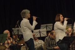 Konzert_Bongos_Bigband_20160214_31 Konzert_Bongos_Bigband_20160214_31