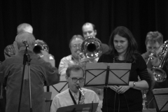 Konzert_Bongos_Bigband_20160313_10