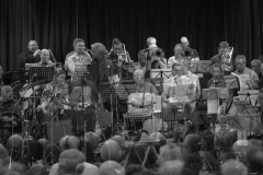 Konzert_Bongos_Bigband_20160313_14