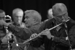 Konzert_Bongos_Bigband_20160313_16