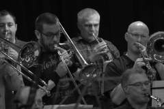 Konzert_Bongos_Bigband_20160313_17