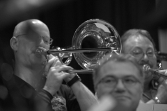 Konzert_Bongos_Bigband_20160313_26