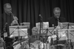 Konzert_Bongos_Bigband_20160313_37