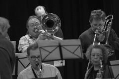 Konzert_Bongos_Bigband_20160313_52