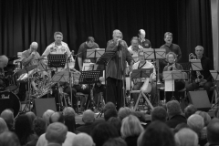 Konzert_Bongos_Bigband_20160313_53