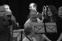 Konzert_Bongos_Bigband_20160313_54