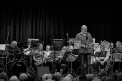 Konzert_Bongos_Bigband_20160313_8
