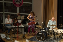 Konzert_Bongos_Bigband_20160529_23 Konzert_Bongos_Bigband_20160529_23
