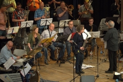 Konzert_Bongos_Bigband_20160529_35