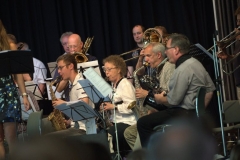 Konzert_Bongos_Bigband_20160710_14