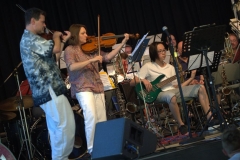 Konzert_Bongos_Bigband_20160710_19