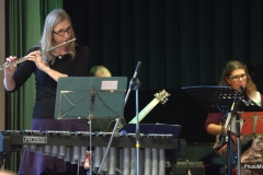 Konzert_Bongos_Bigband_20161218_39