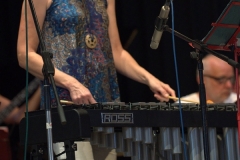 Bongos_Bigband_Konzert_170528_DG2_4447.NEF