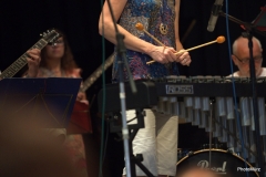 Bongos_Bigband_Konzert_170528_DG2_4448.NEF