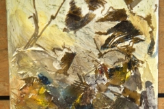 Gitta_Niessen_170430_DSC_0047.NEF