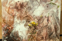 Gitta_Niessen_170430_DSC_0052.NEF