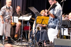 Bongos_Bigband_Konzert_170625_20170625_4853